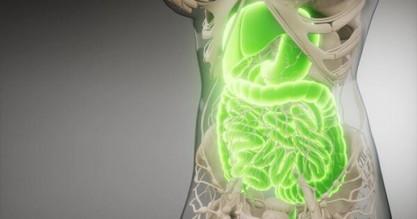 Los resultados son significativos para el desarrollo de pruebas de diagnóstico para identificar si un individuo puede o no tener éxito en la pérdida de peso mediante el cambio de su estilo de vida.
